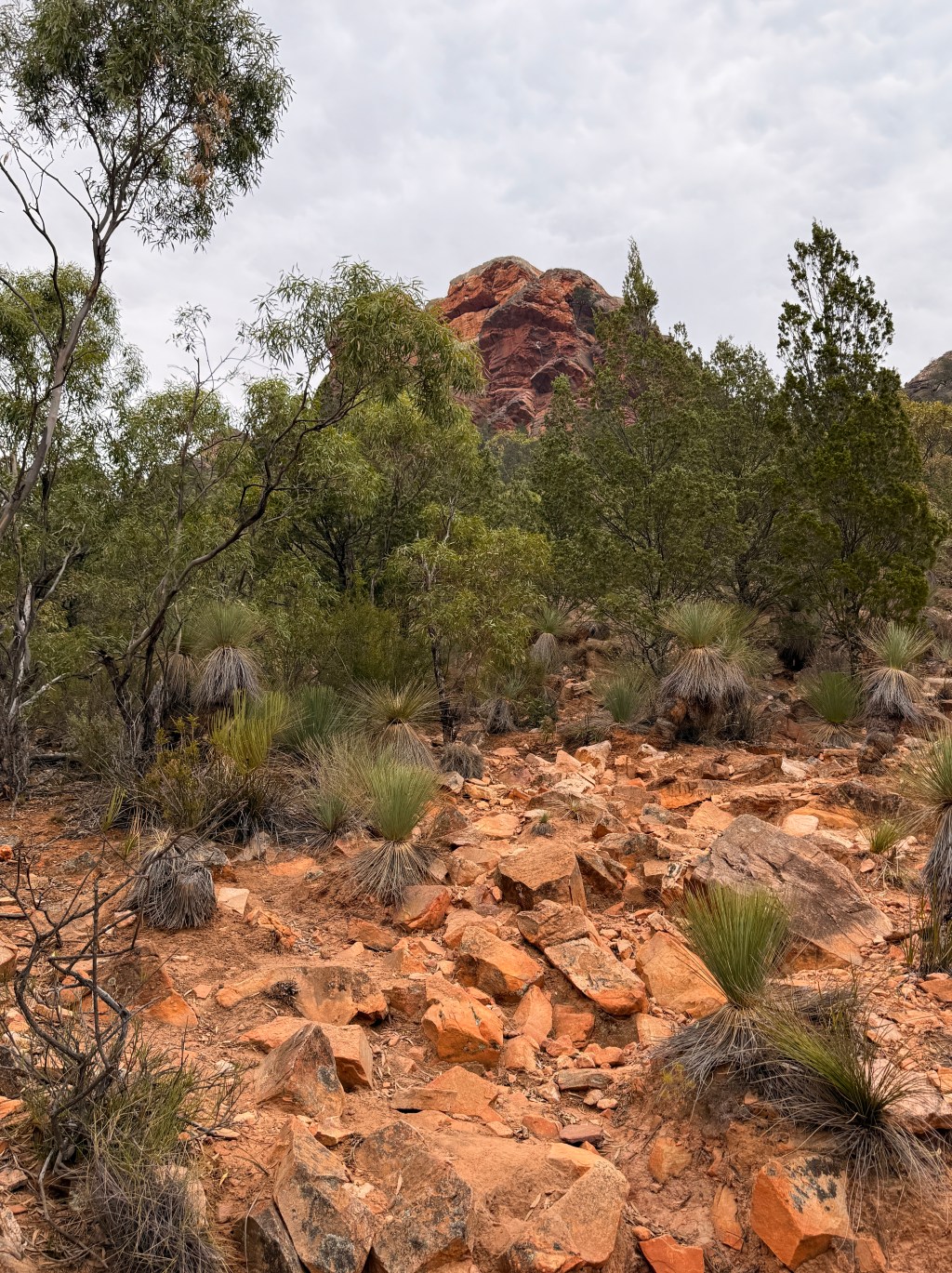 What to do in Quorn, South&nbsp;Australia