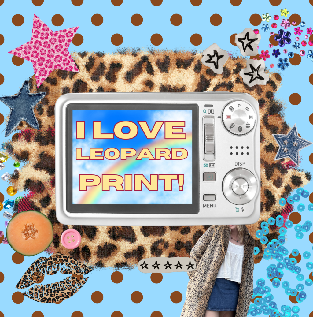 I love Leopard print&nbsp;!